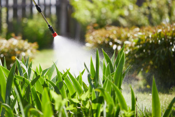 Tamper-Resistant Bait Stations for Rodents in Sebastian