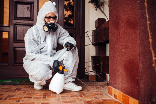 Attic and Crawl Space Rodent Treatment in Sebastian